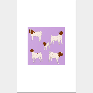 Boer Goats Pattern Purple Posters and Art